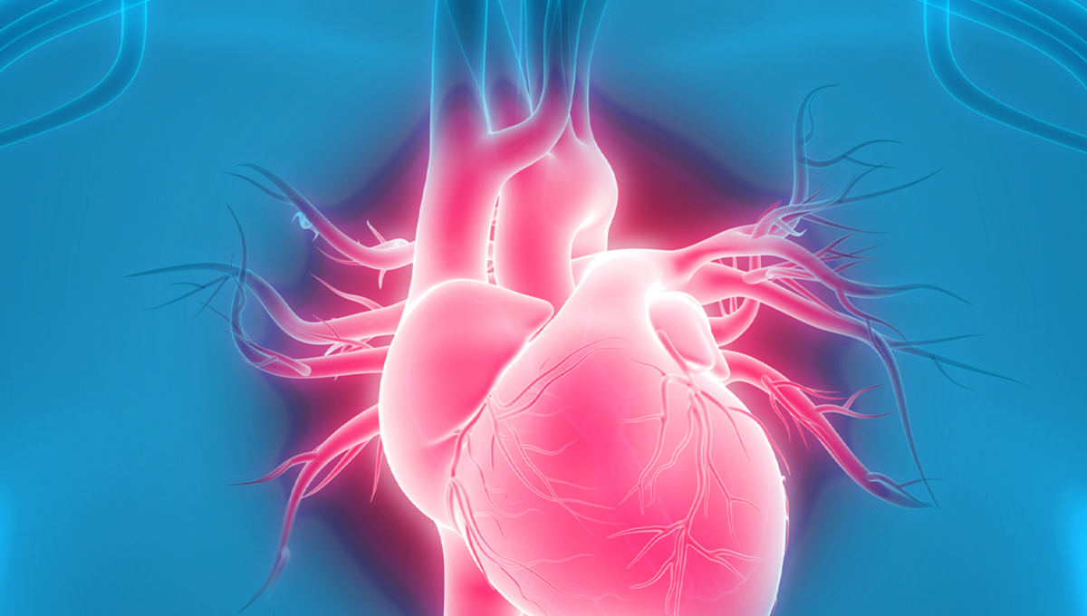 Structural Heart Spectrum Plastics
